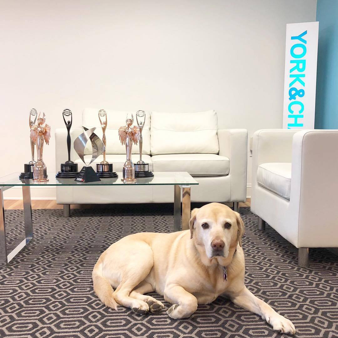 agency career culture 4